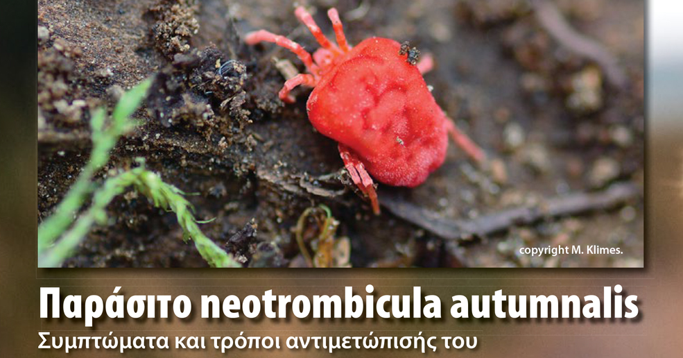 Διαβάστε στο νέο τεύχος του Hunt & Shoot για το παράσιτο neotrombicula autumnalis, τα συμπτώματα που προκαλέι αλλά και τους τρόπους αντιμετώπισης του!